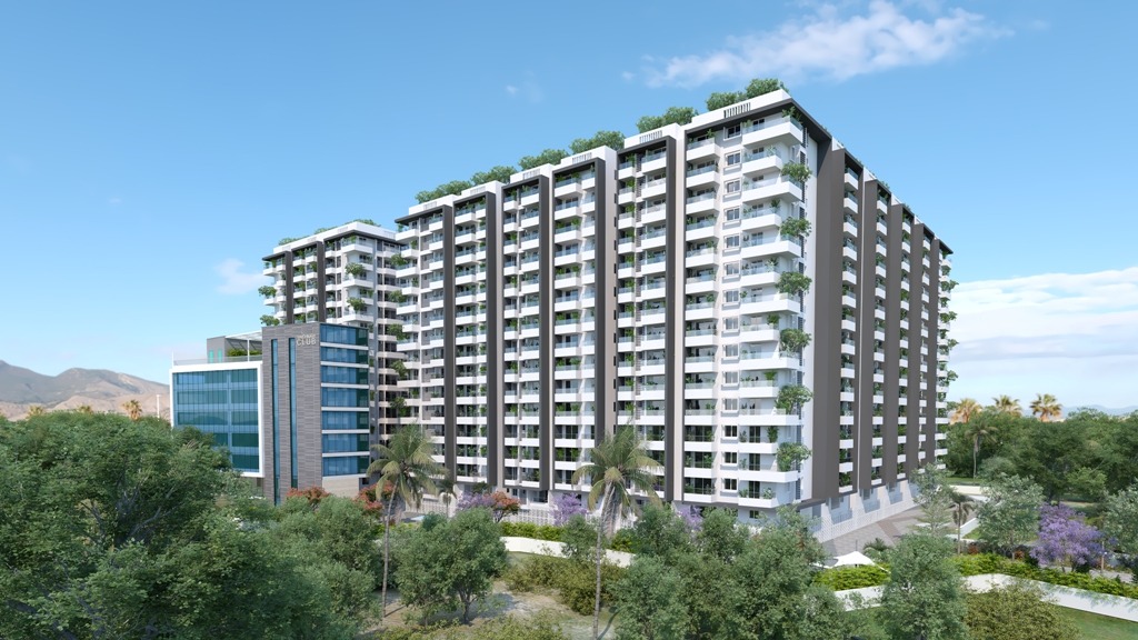 Houdini, a stress reliever